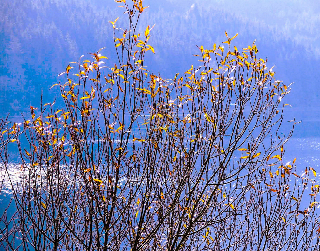 1811lateautumn