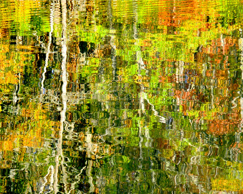 1849autumncolors