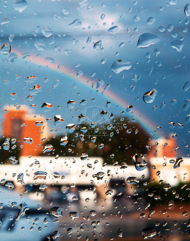 2990rainbow