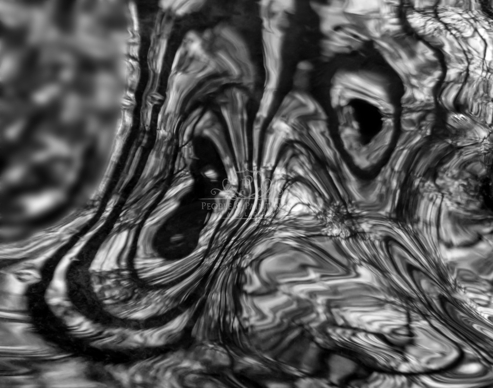 2976fear