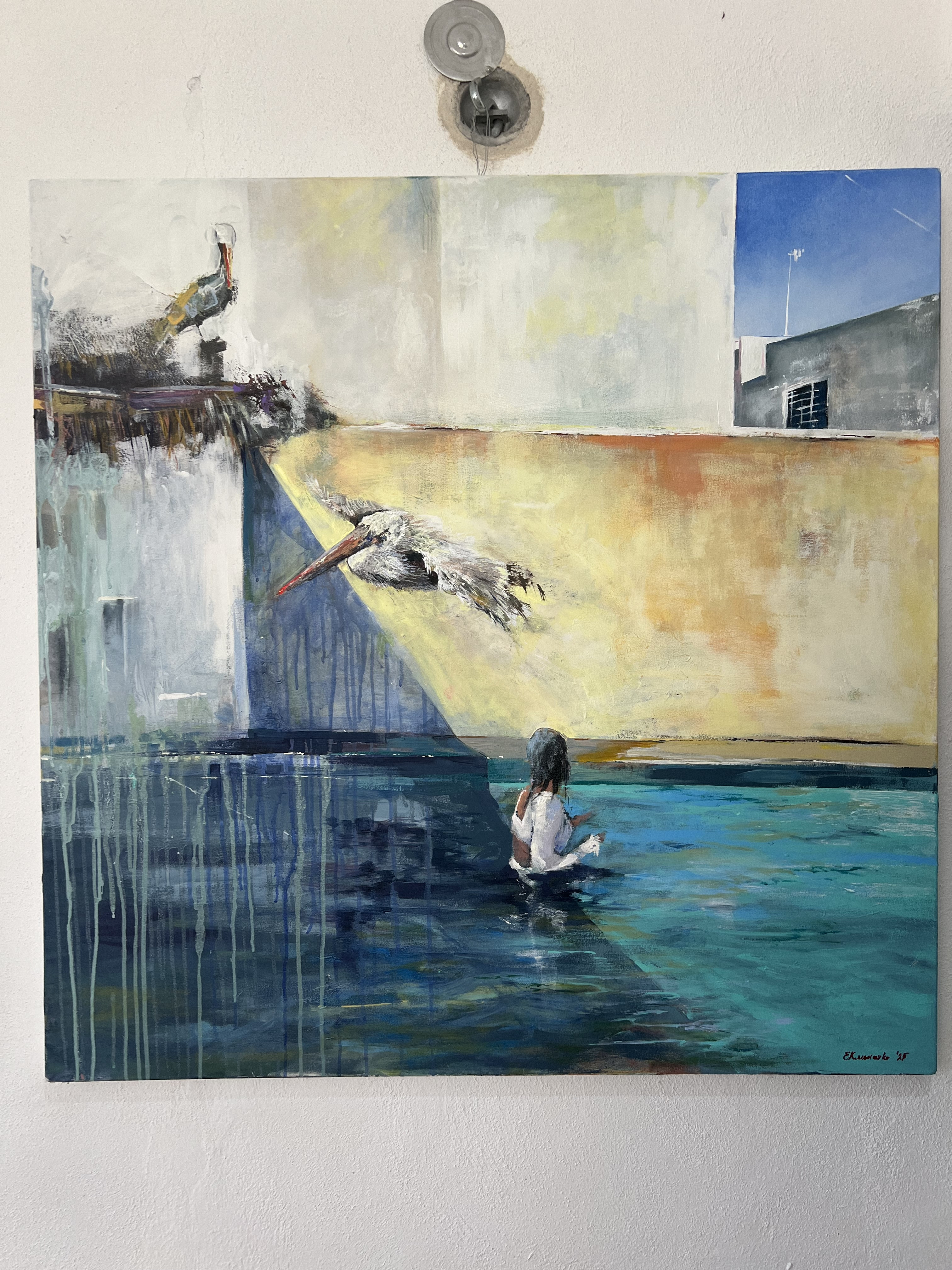 3658thepelican